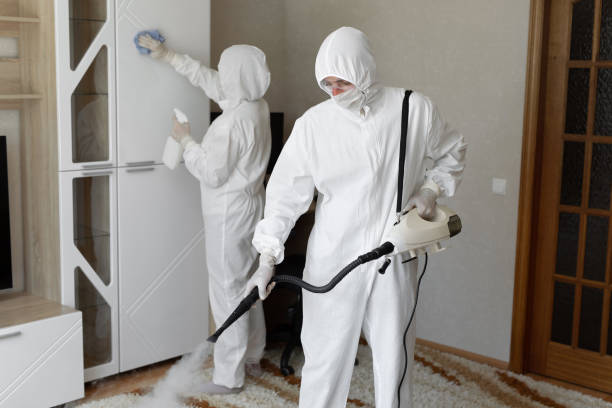 Best Commercial Mold Removal  in Copeland, OK