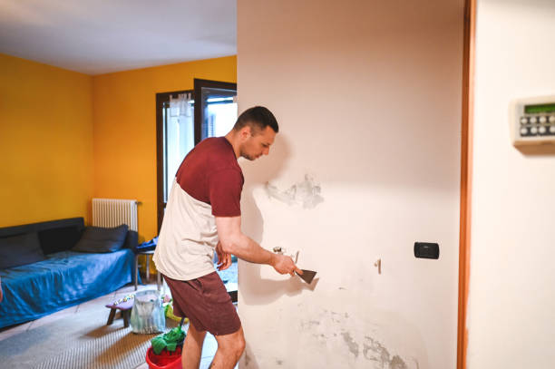 Best Home Mold Removal  in Copeland, OK