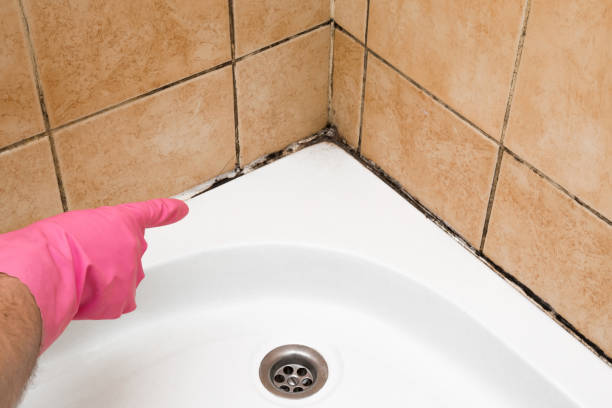 Best Black Mold Removal  in Copeland, OK